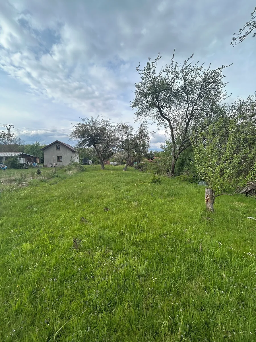 Fotka 9 z 11